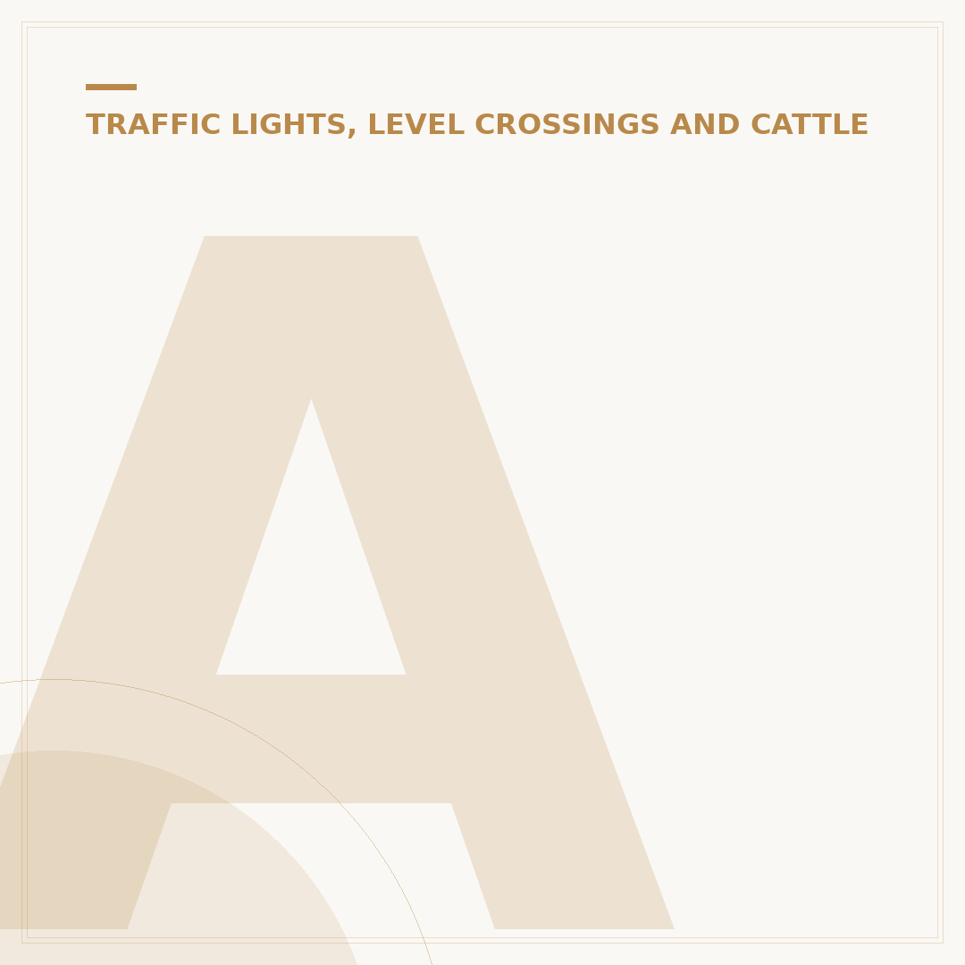 Amber Crystal Light: What It Is & How to Choose