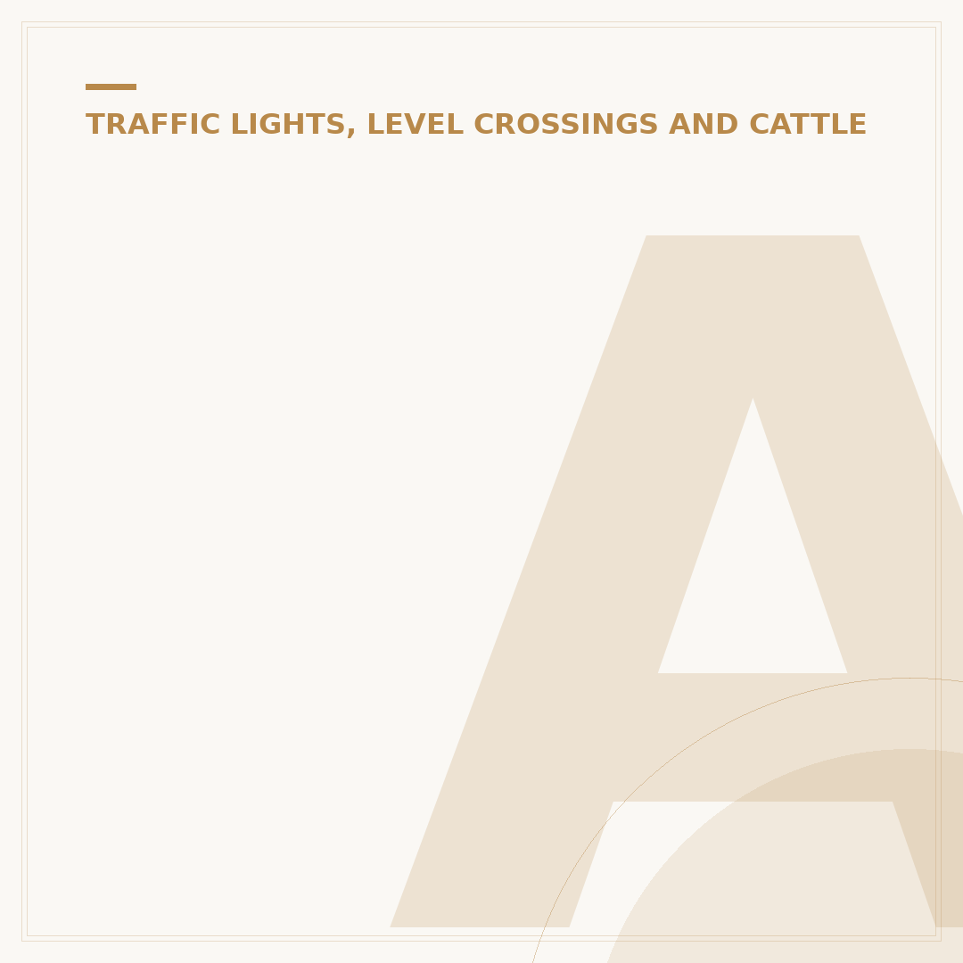 Amber Light LED: Uses, Considerations, and Selection