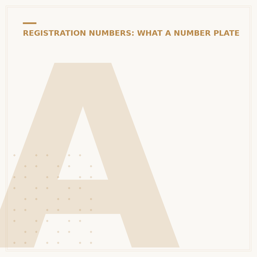 ANPR Number Plate: Understanding Requirements & Options