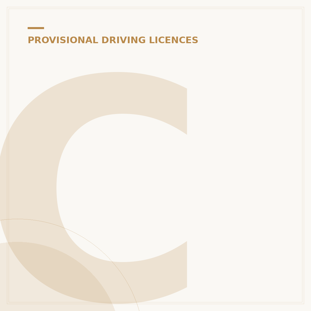 Can I Apply for My Child's Provisional Driving Licence?