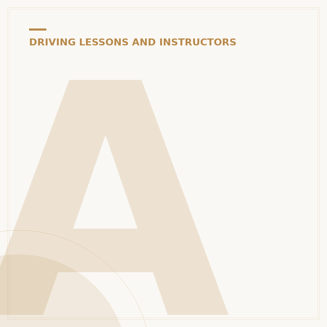 Automatic Driving Instructor