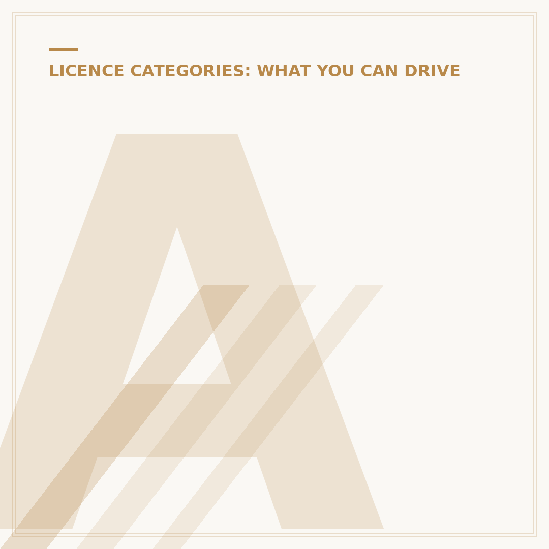 Automatic Driving Licence: What You Need to Know