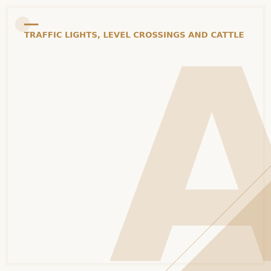 Automatic Railway Level Crossing: How They Work