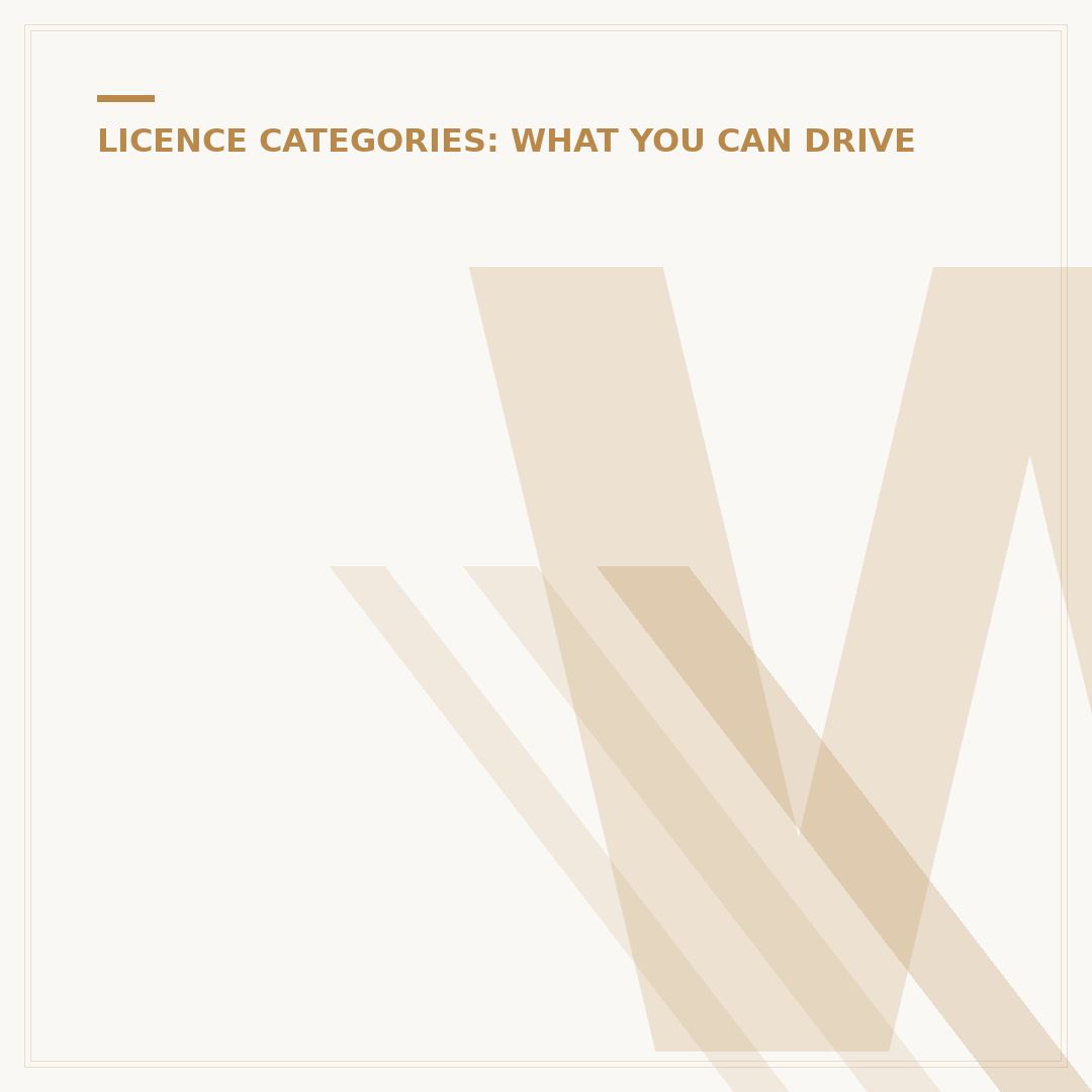 What is a B1 driving licence category?