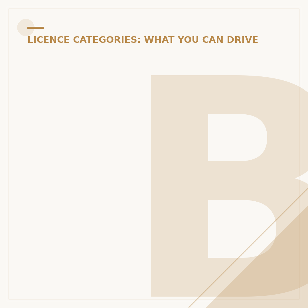 B1 Driving Licence Explained: What It Is & How to Get One