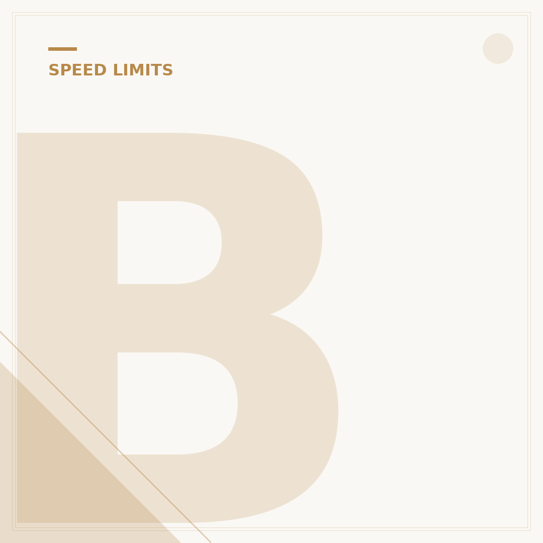 Belgium Speed Limits Explained: Rules for Every Road Type