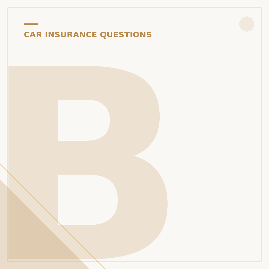 Black Box Insurance Companies
