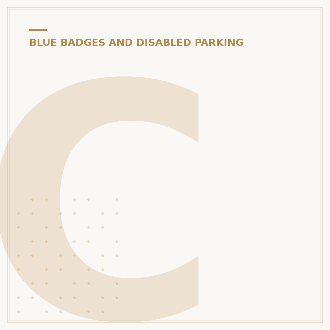 Can Blue Badge Holders Park on Yellow Lines?