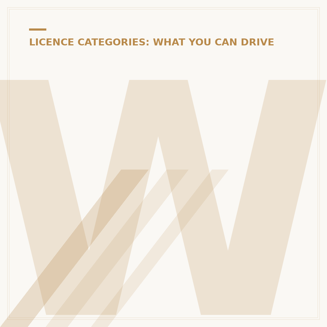 What Is a C1 Licence?