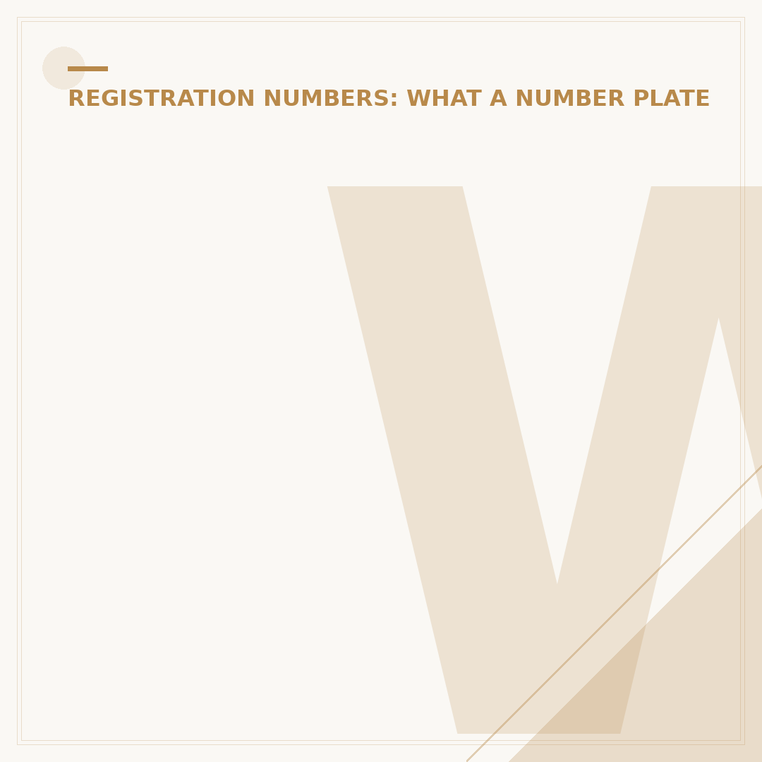 What is a Car's Plate Number and How Does it Work?