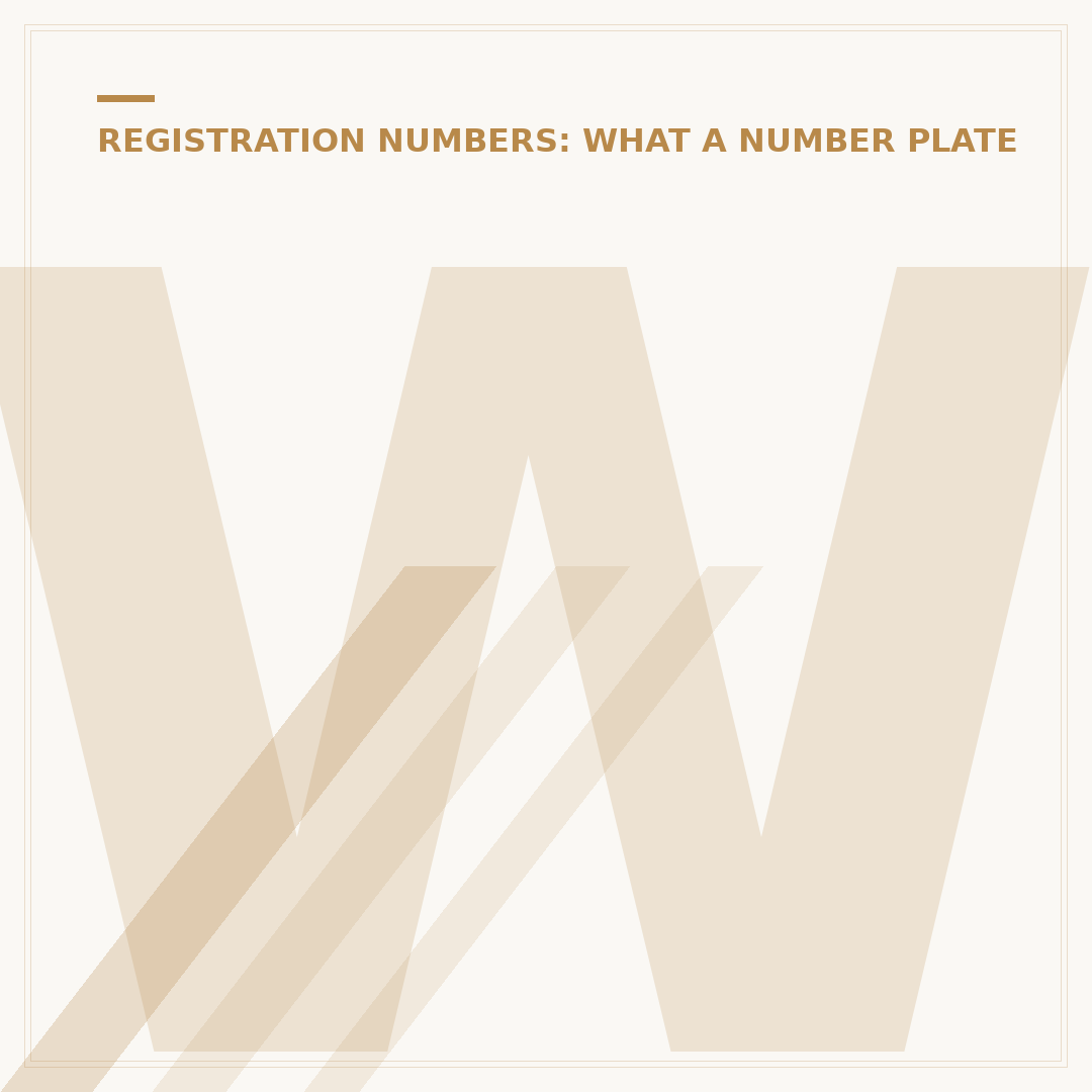 What Service Does My Car Need by Reg?