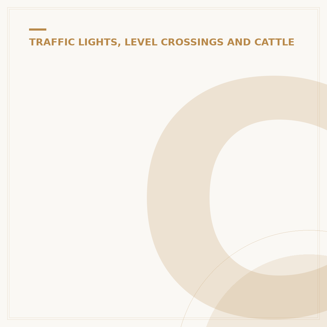 Changing Traffic Lights: What To Do Safely