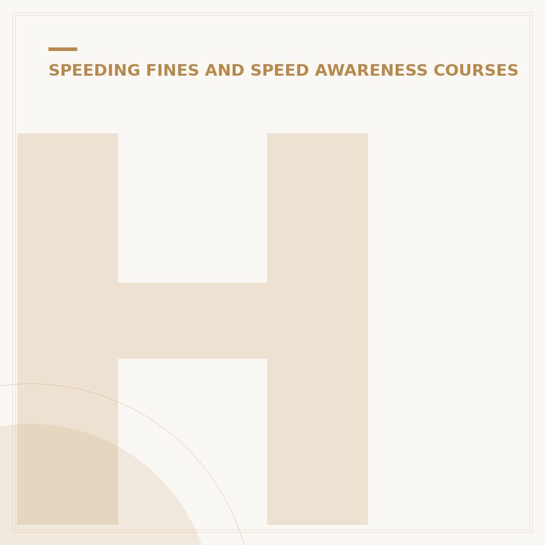 How to Check If I Have a Speeding Ticket