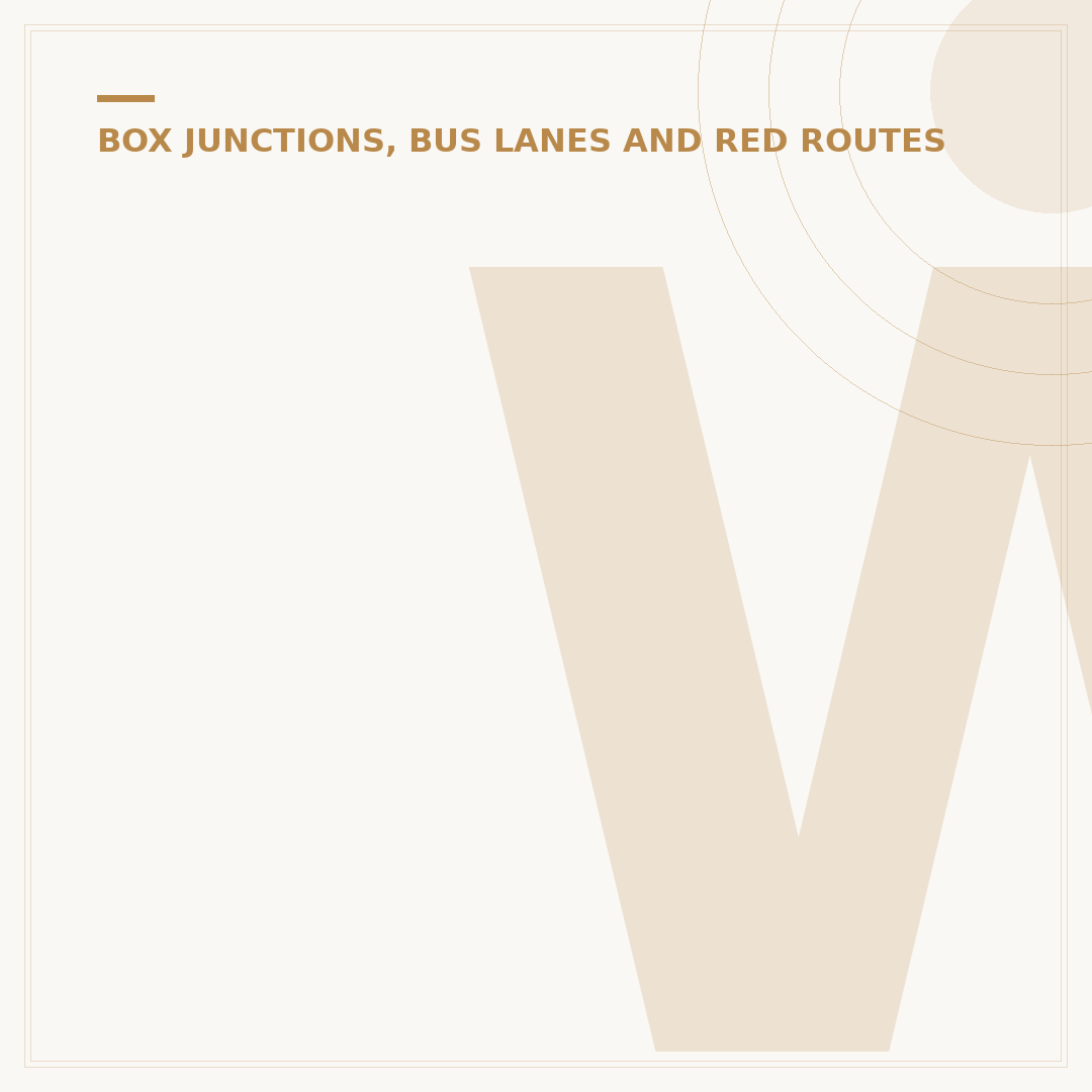 Where Can You See a Contraflow Bus Lane?