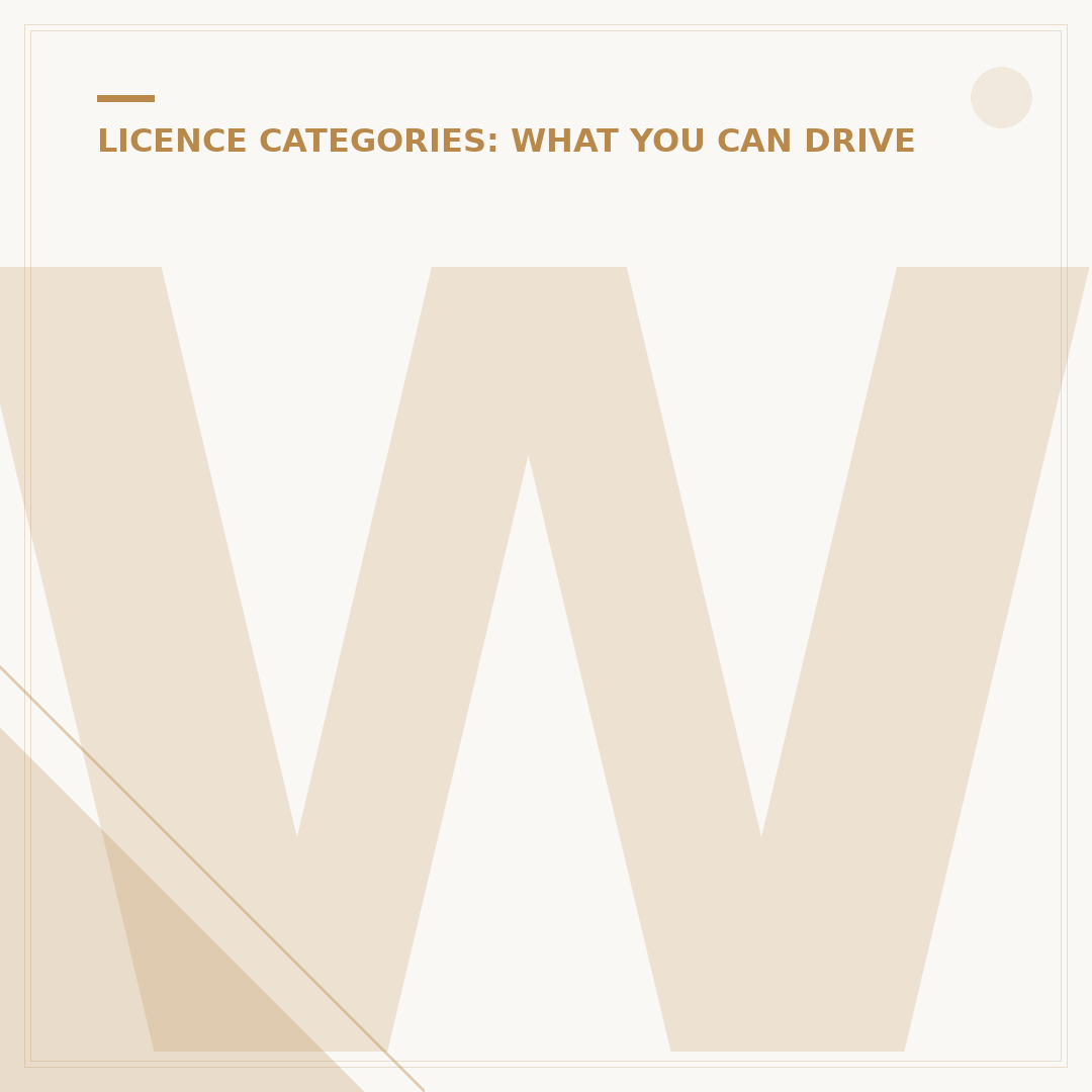What Category is a Full Driving Licence?
