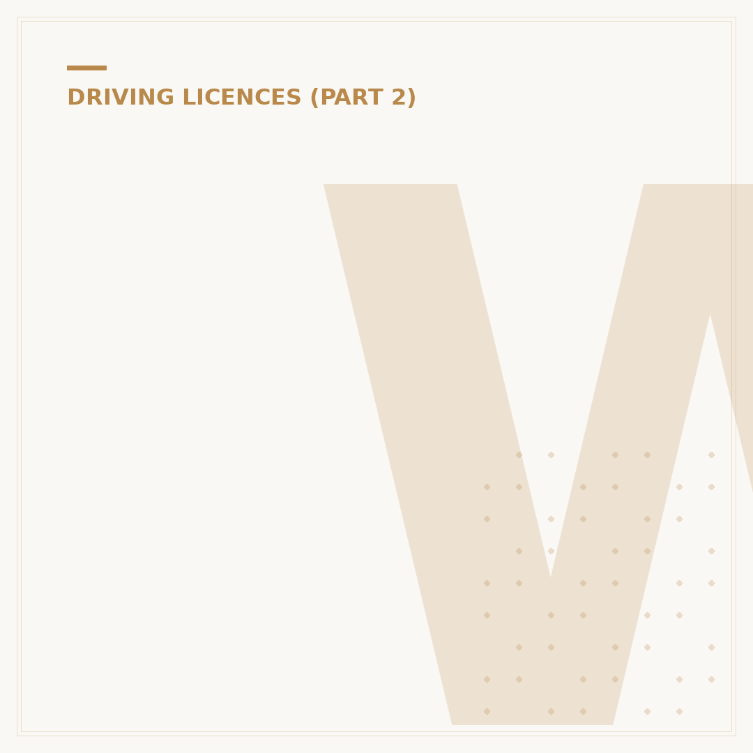 What's a Driving Licence Number?