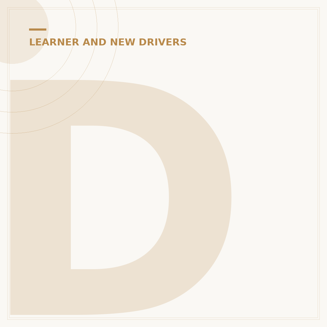 Driving Licence Rules for New Drivers UK Explained