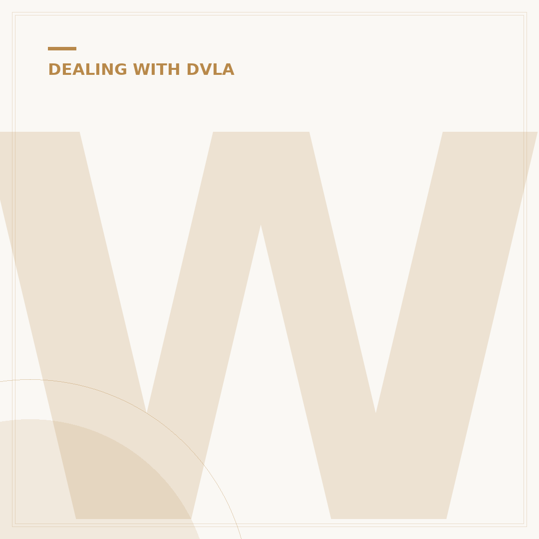What DVLA Stands For and Its Key Functions