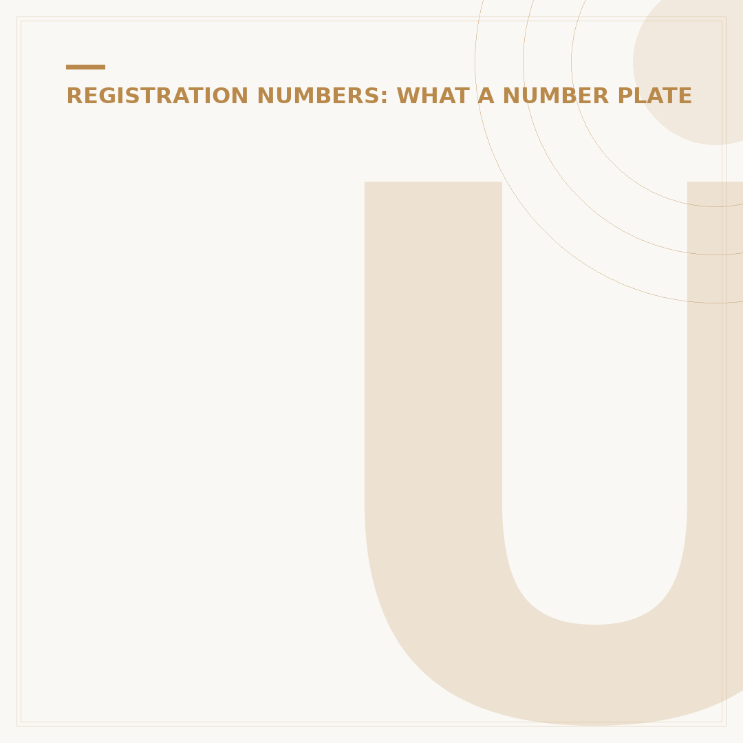 Understanding European Number Plates: Rules & Requirements