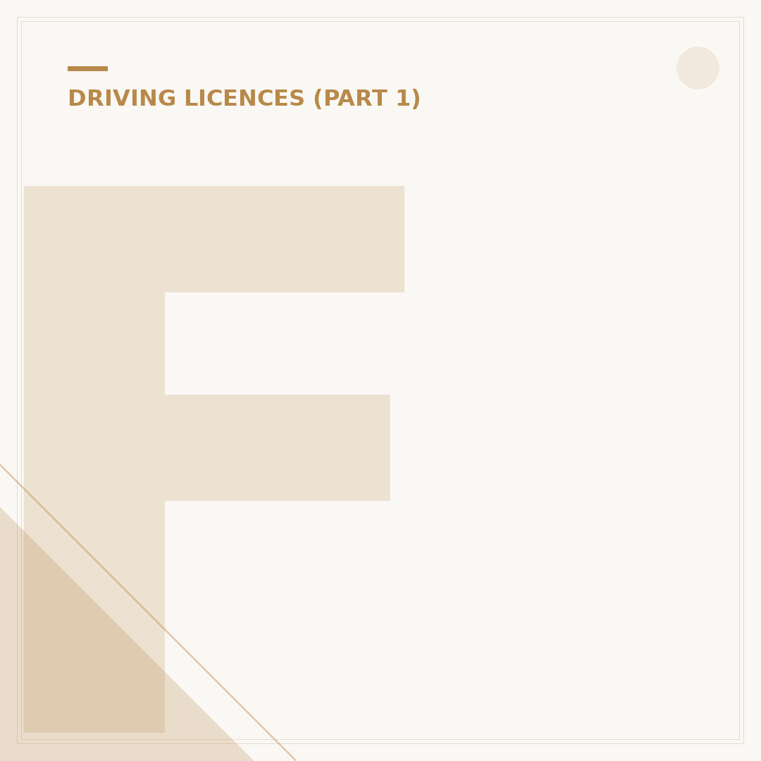 Fake Driving Licence Case: Legal Risks & What To Check