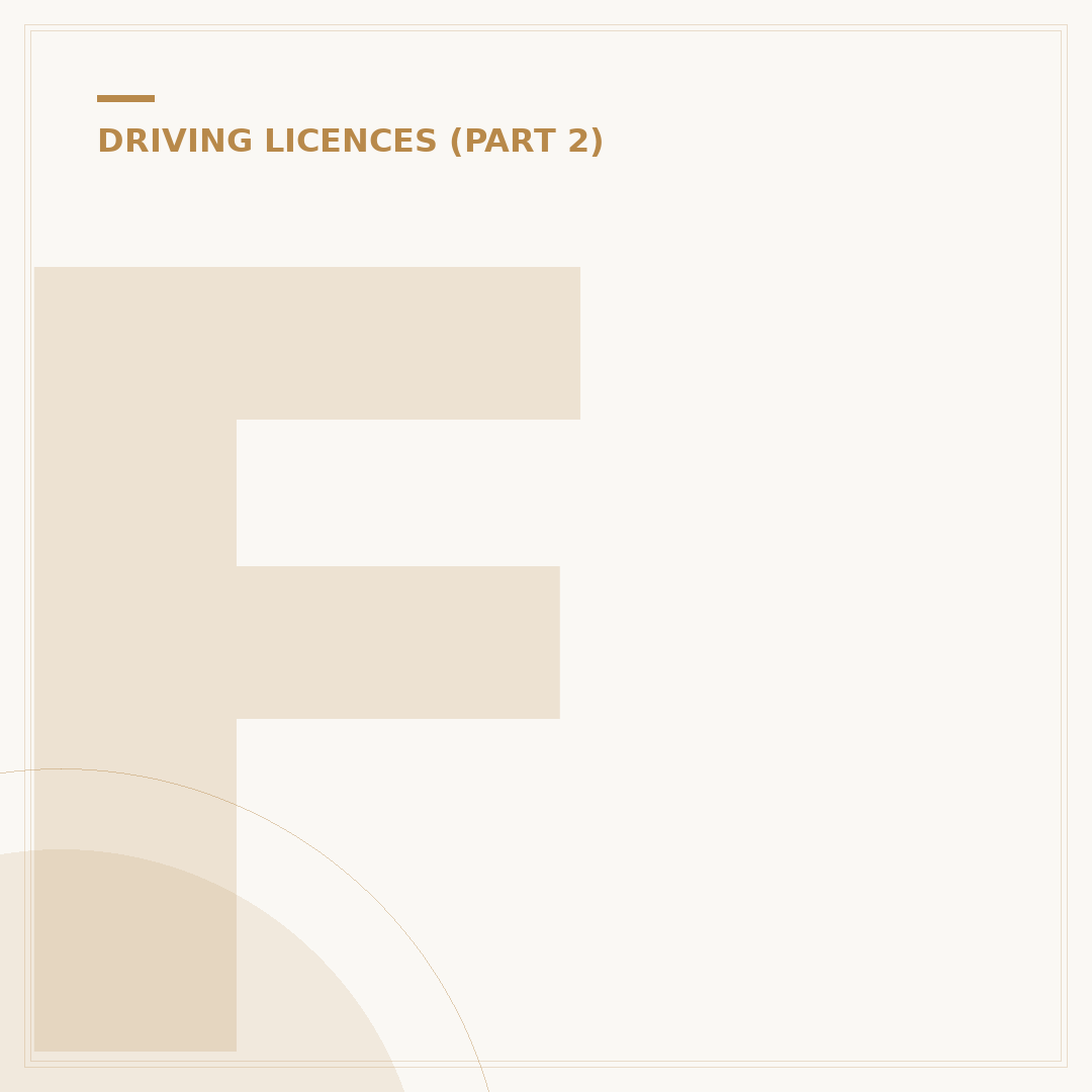 Fake Identification Driving Licence: Risks and Recognition