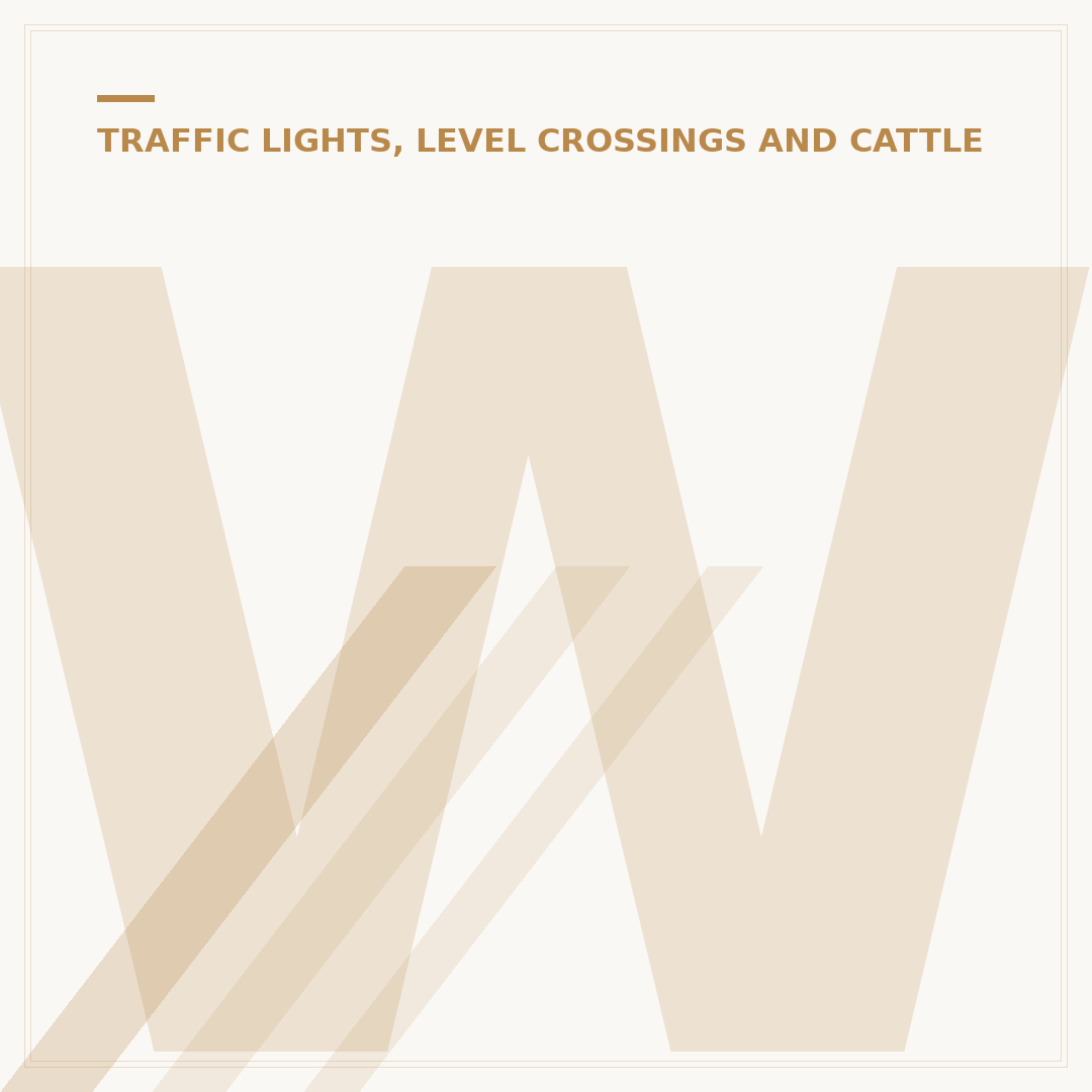 What is the Fine for Passing a Red Light UK?