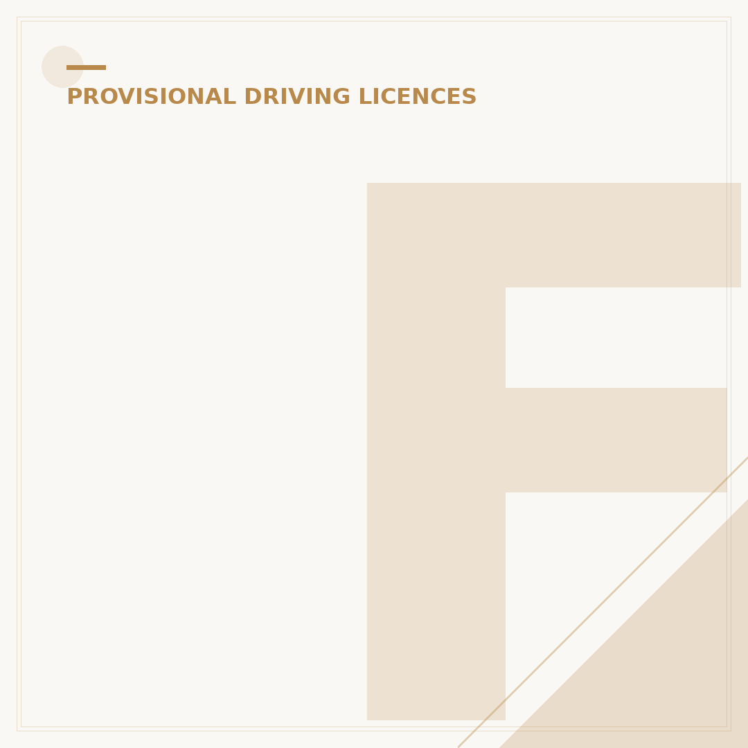 First Provisional Driving Licence