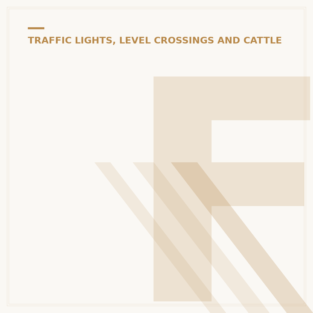 Flashing Amber Light Meaning and Significance