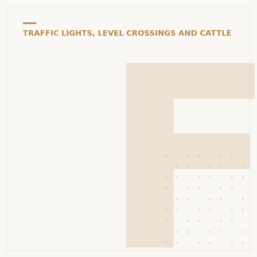 Flashing Amber Traffic Light: Rules and What to Do