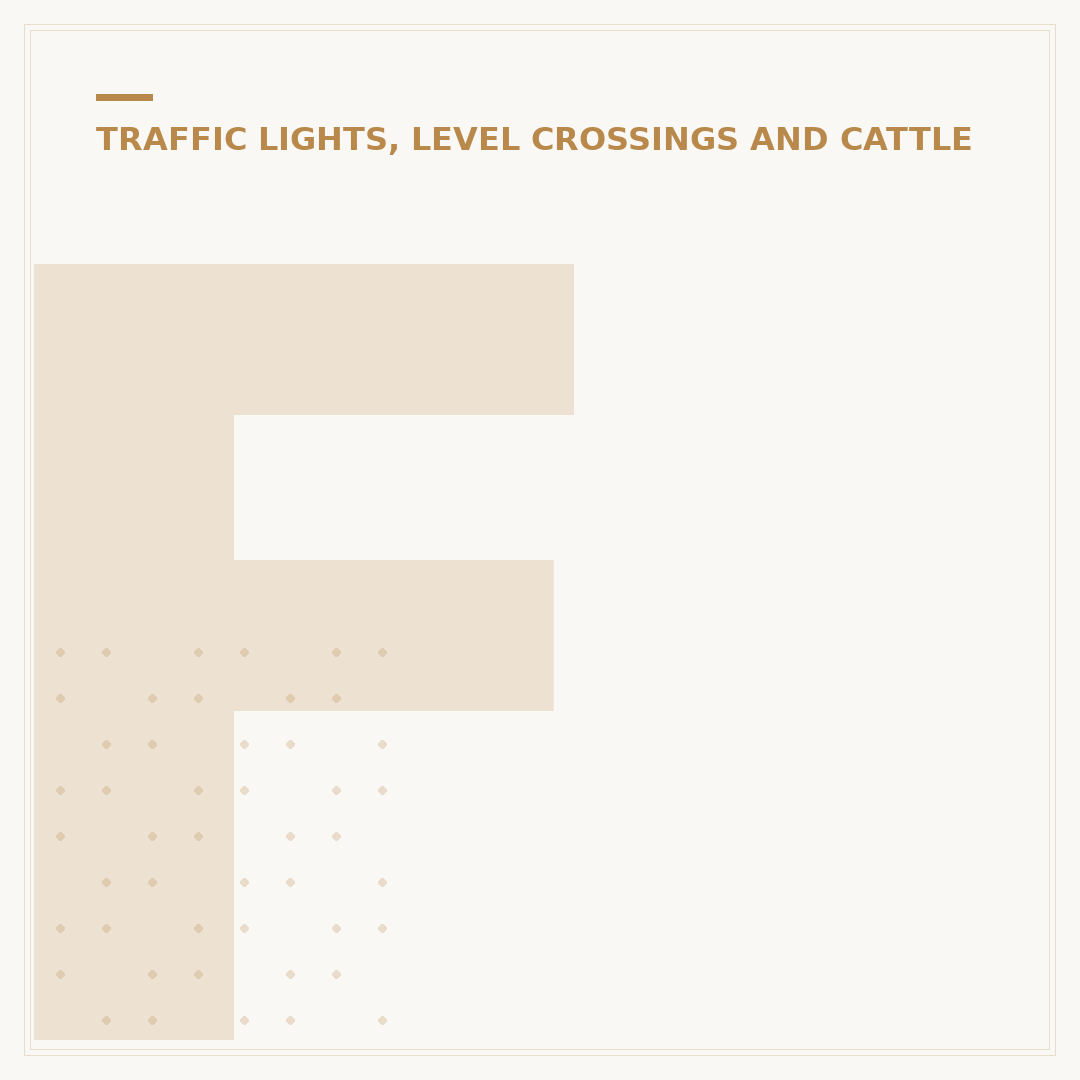 Food Traffic Lights Explained: What They Mean