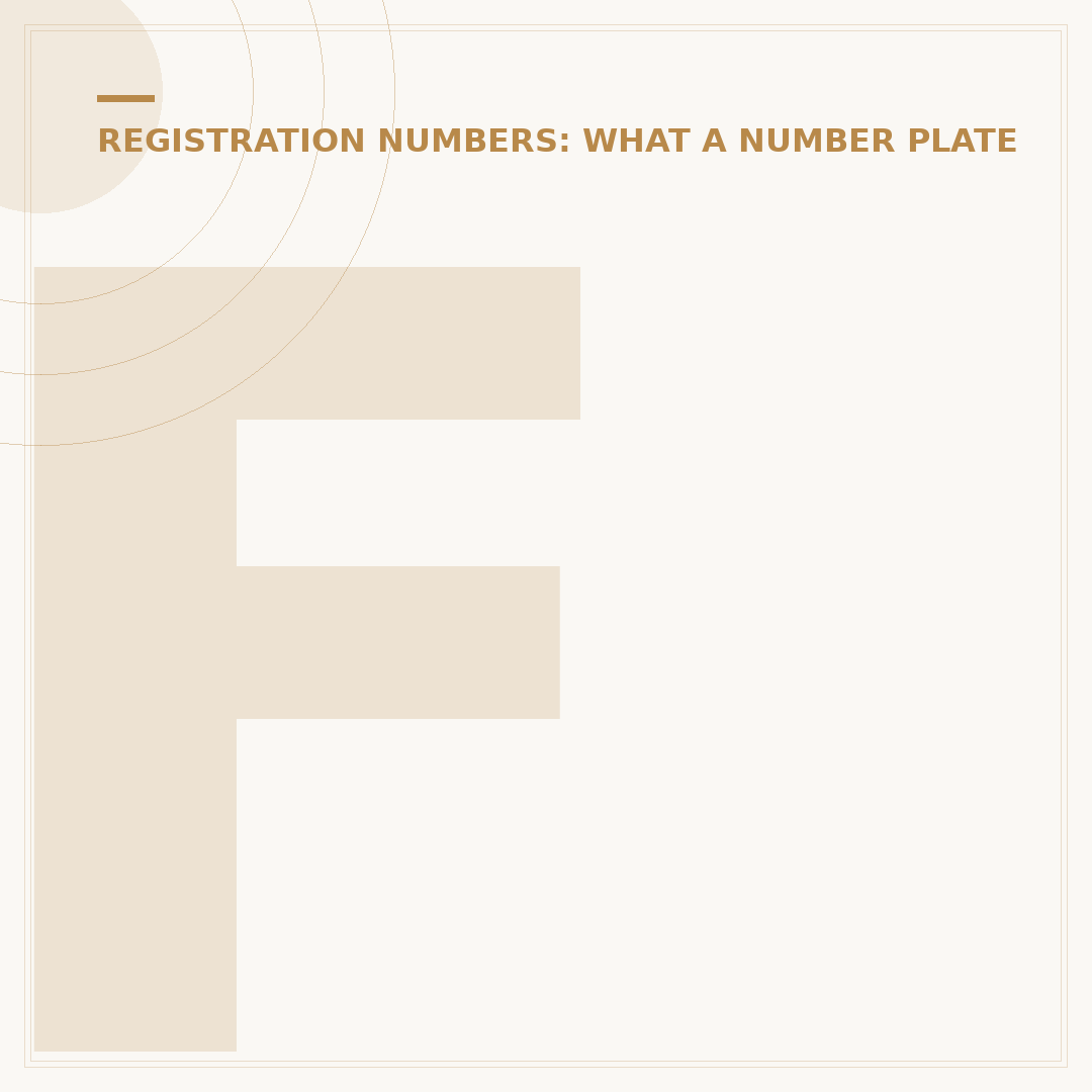 Foreign Number Plates: Rules and Recognition