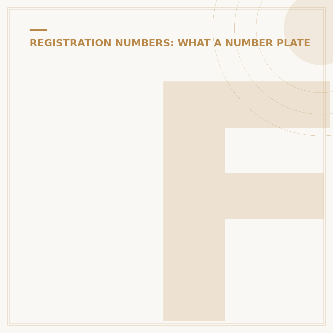 Front Number Plate Replacement