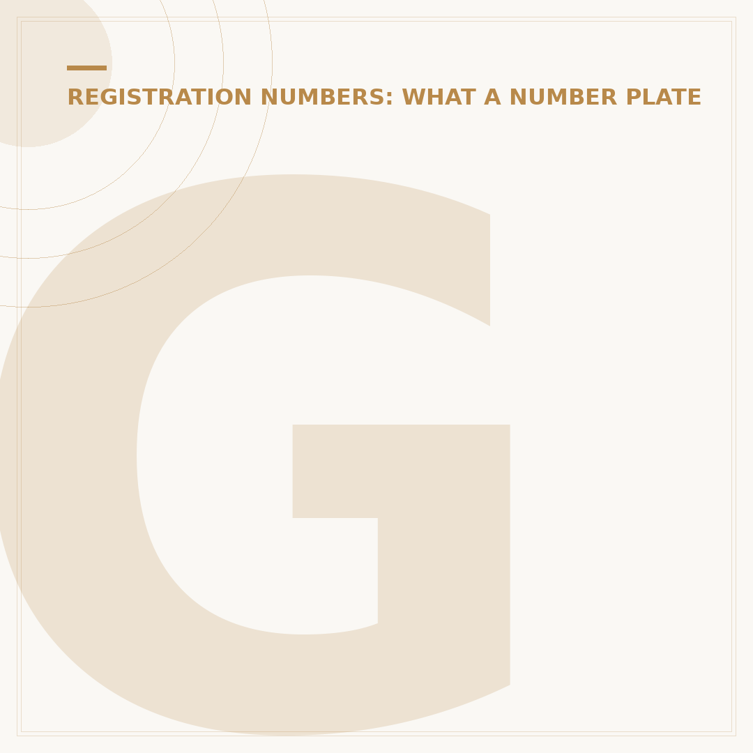 Ghost Number Plates: What They Are & How to Get Them