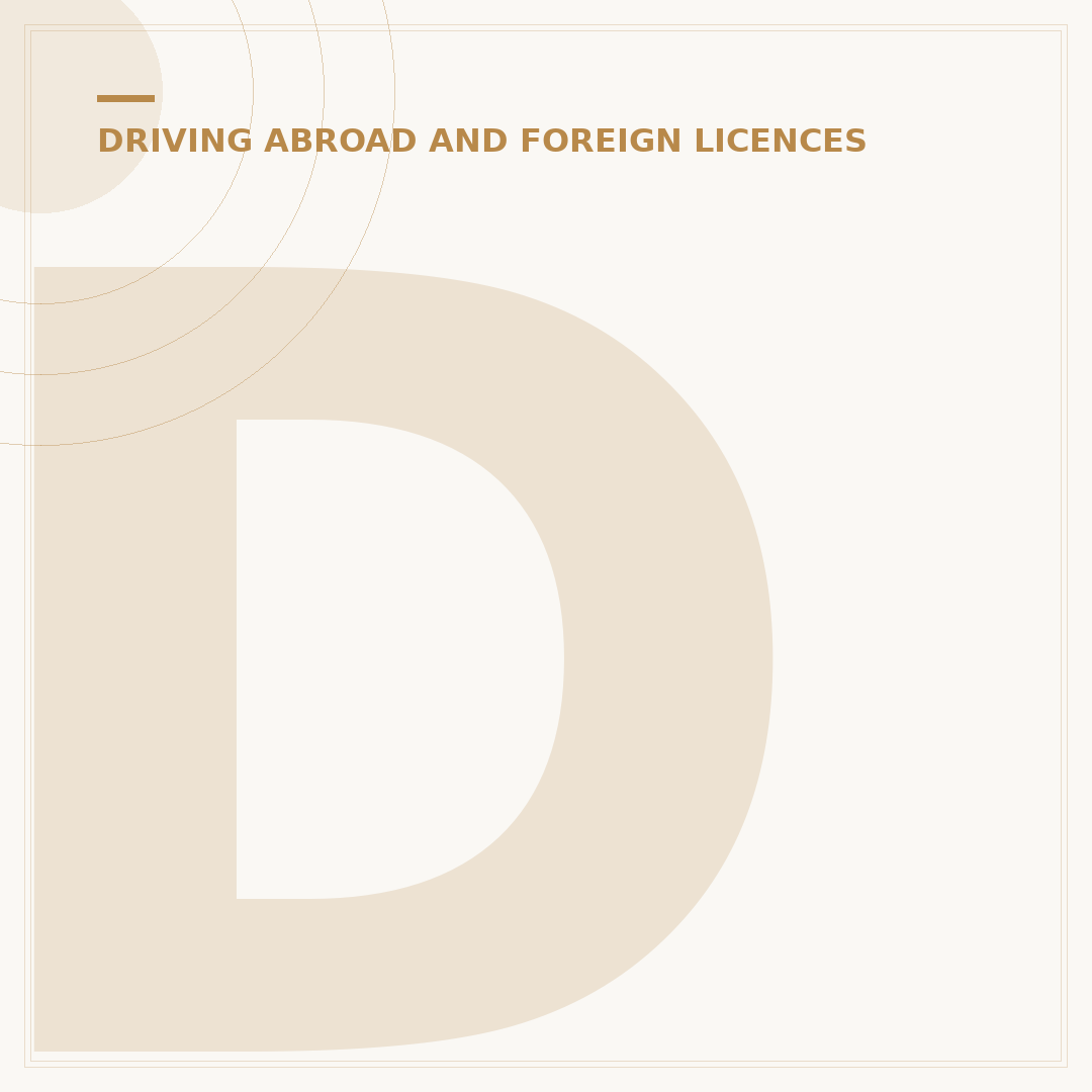 Do I Need an International Driving Permit for USA?