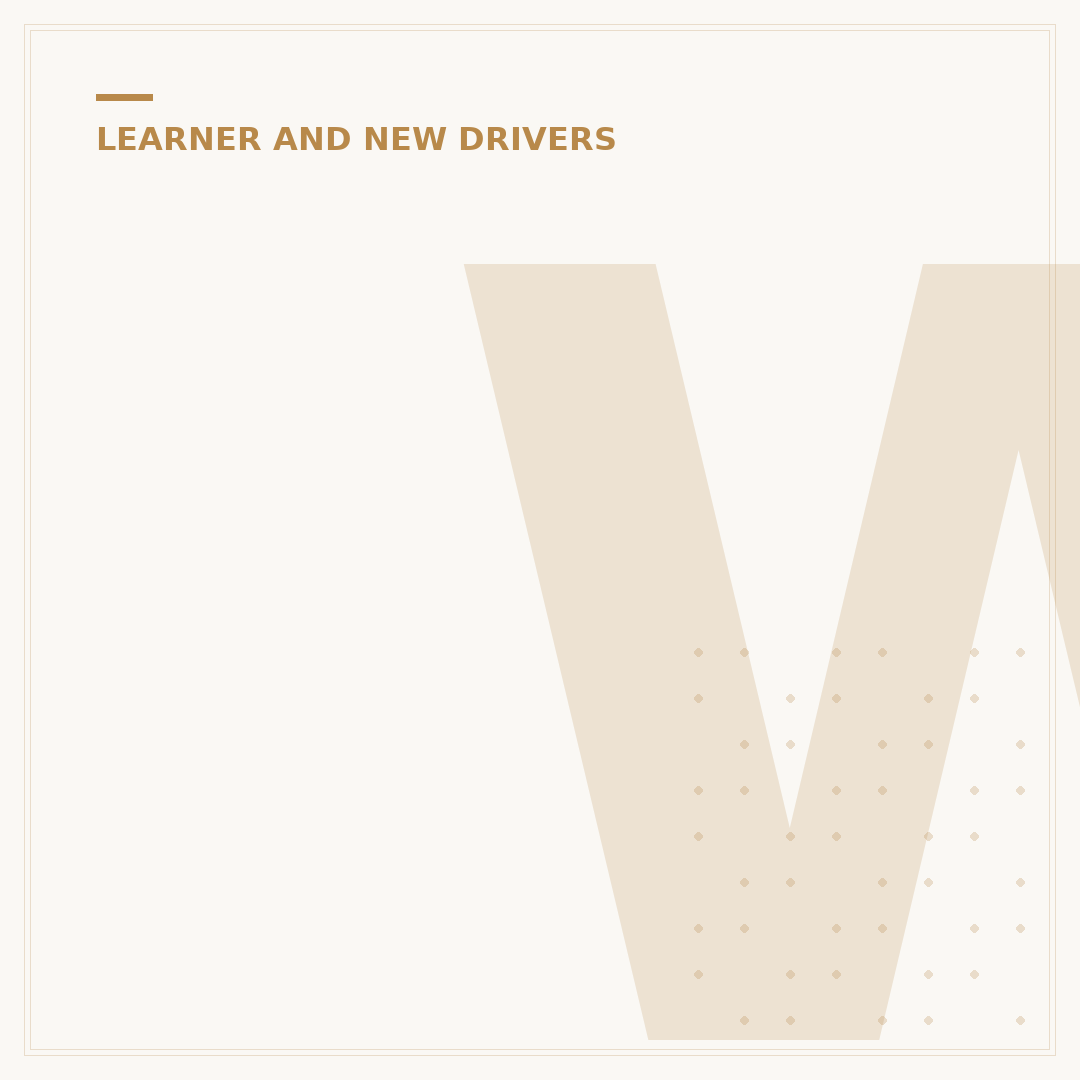 Where Should L Plates Be Displayed on Cars?
