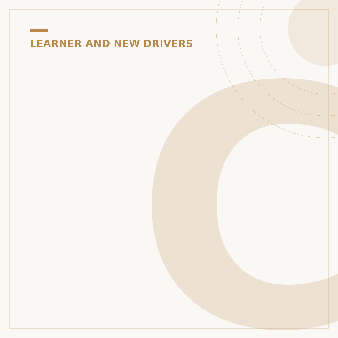 Can A Learner Driver Carry Passengers Safely?