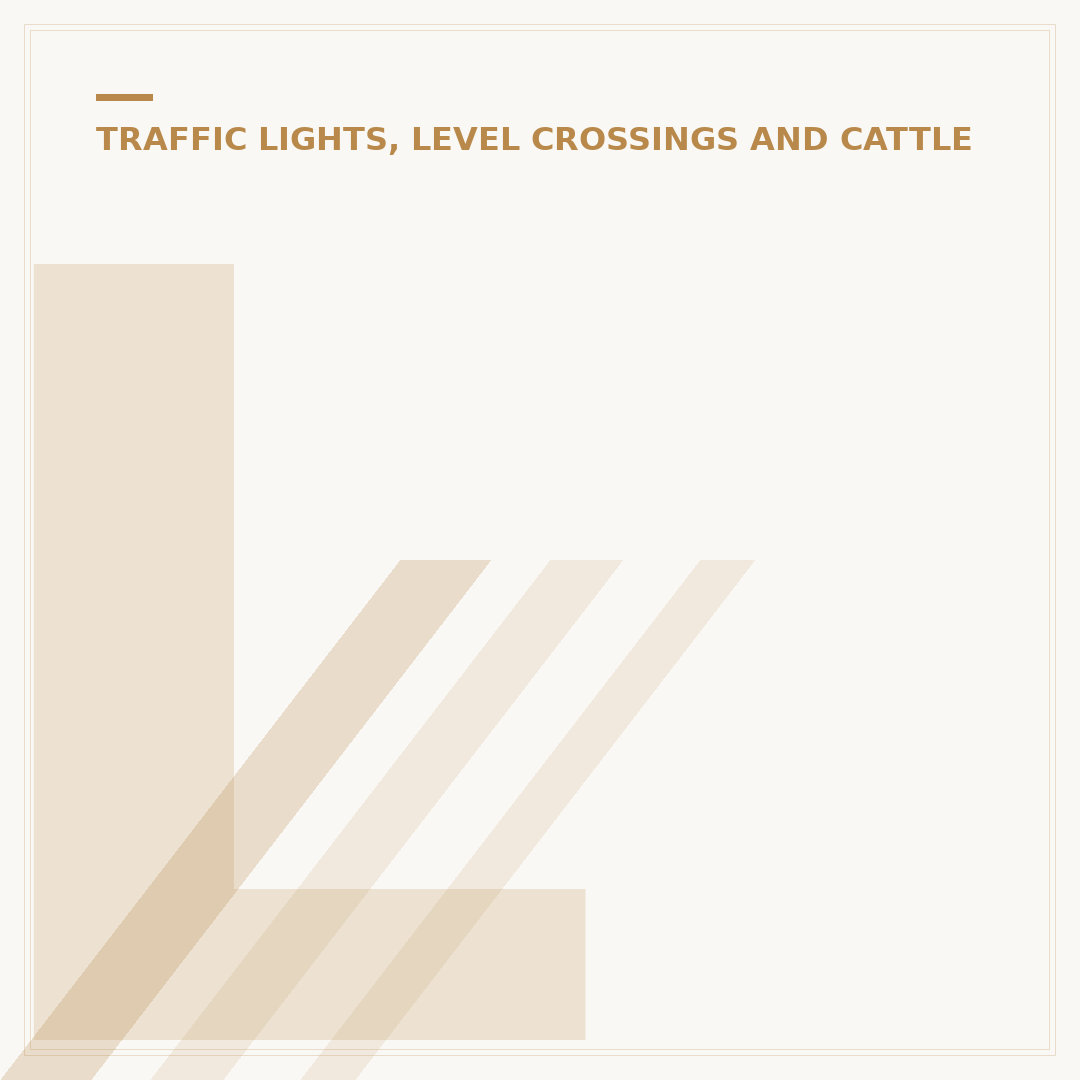 LED Traffic Lights: Advanced Control and Visibility