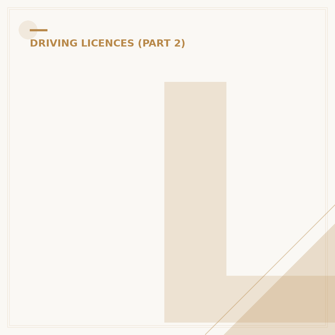 Legoland Driving Licence