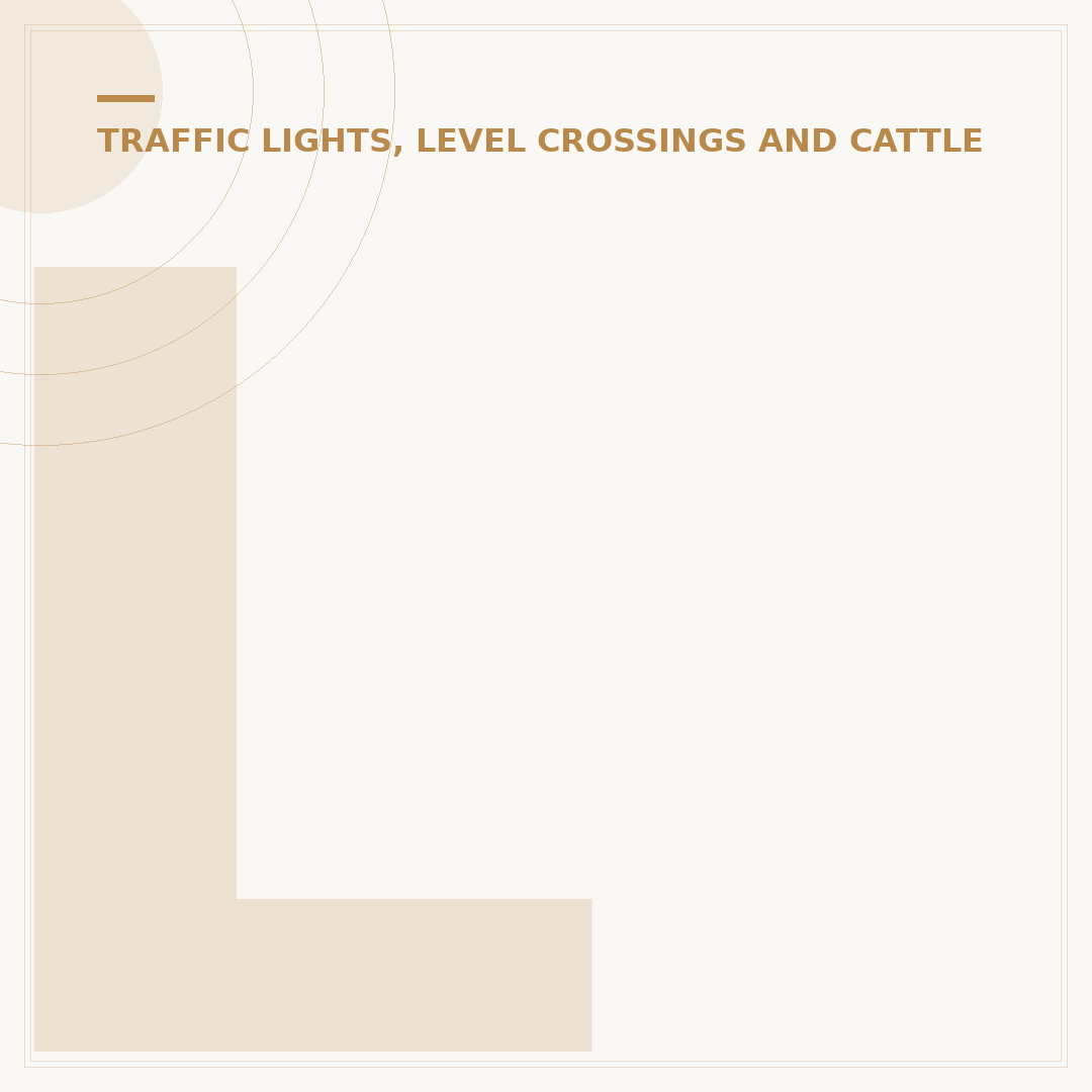 Level Crossing Lights Explained: Safety & What They Mean