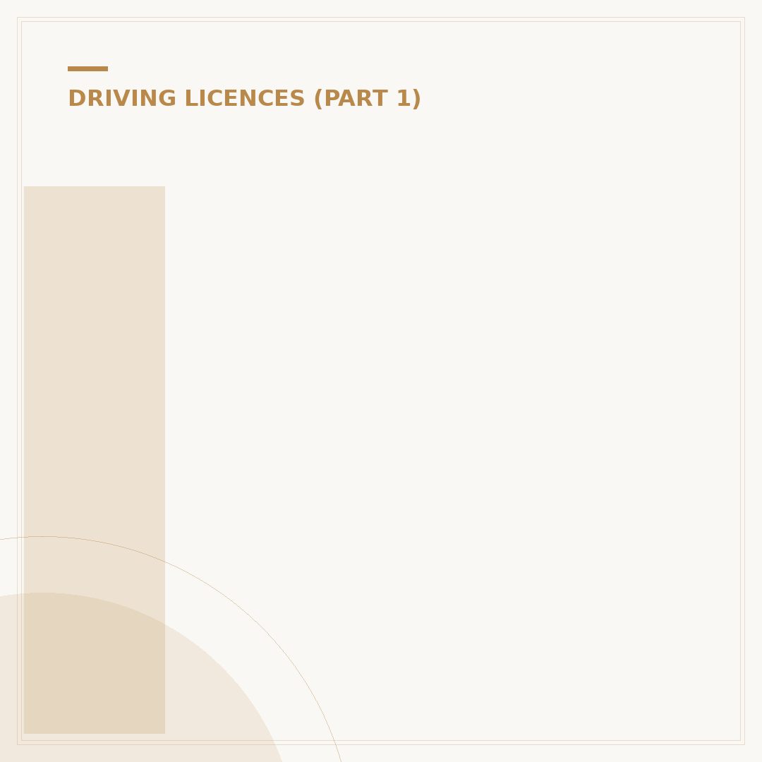 I Have Lost My Driving Licence