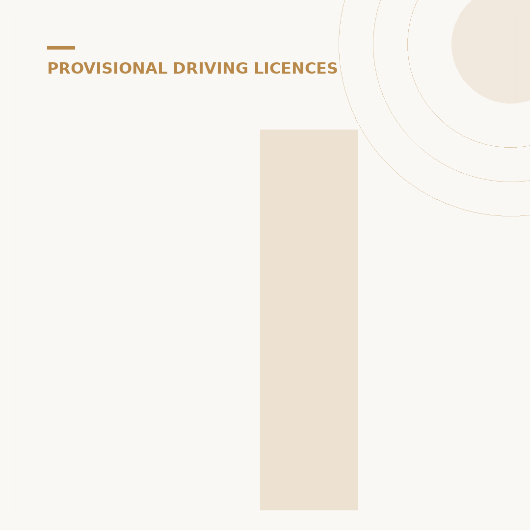 I Lost My Provisional Licence