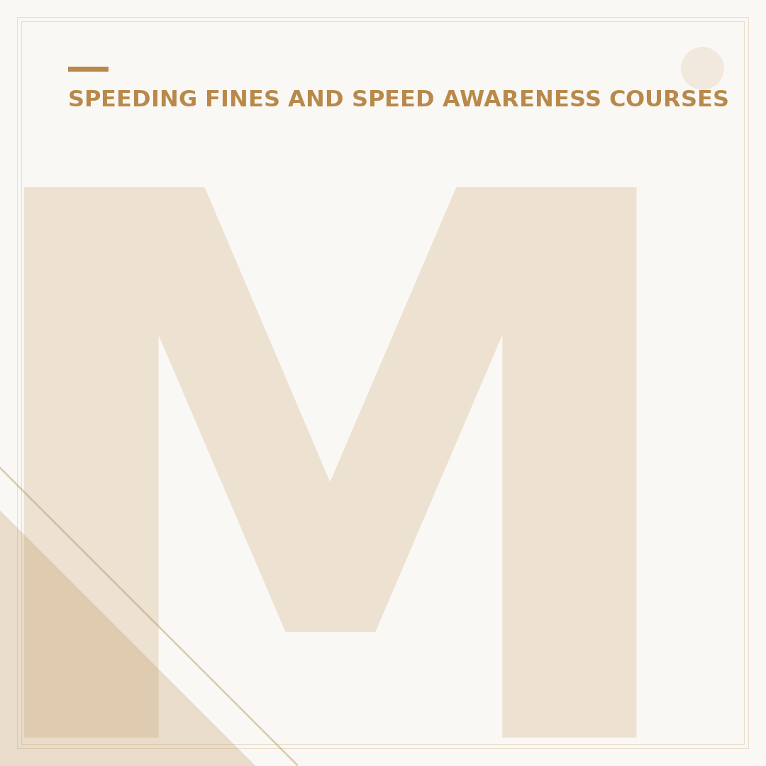 M4 Motorway Speeding Fine: What Happens & Your Options