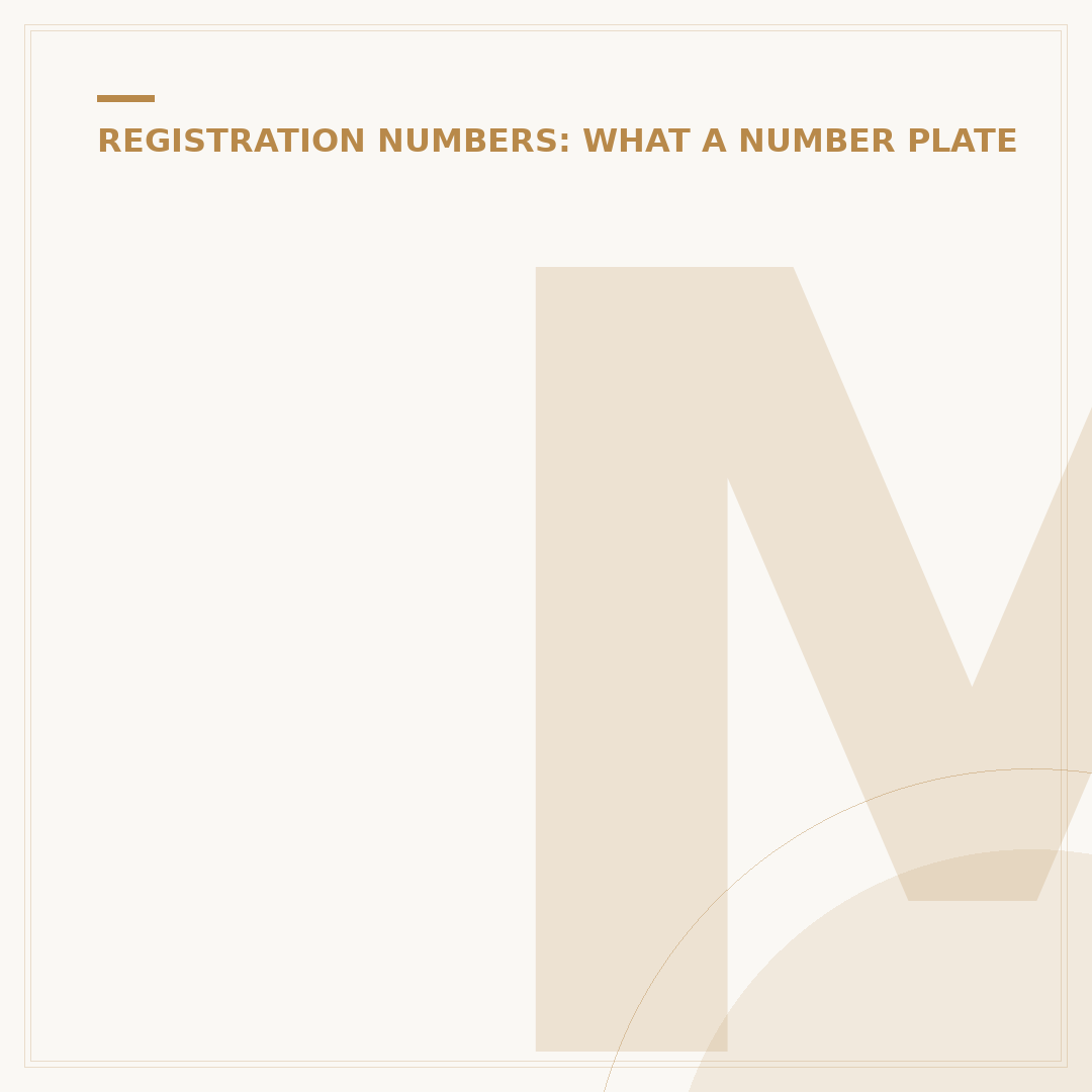 Make Your Own Number Plates