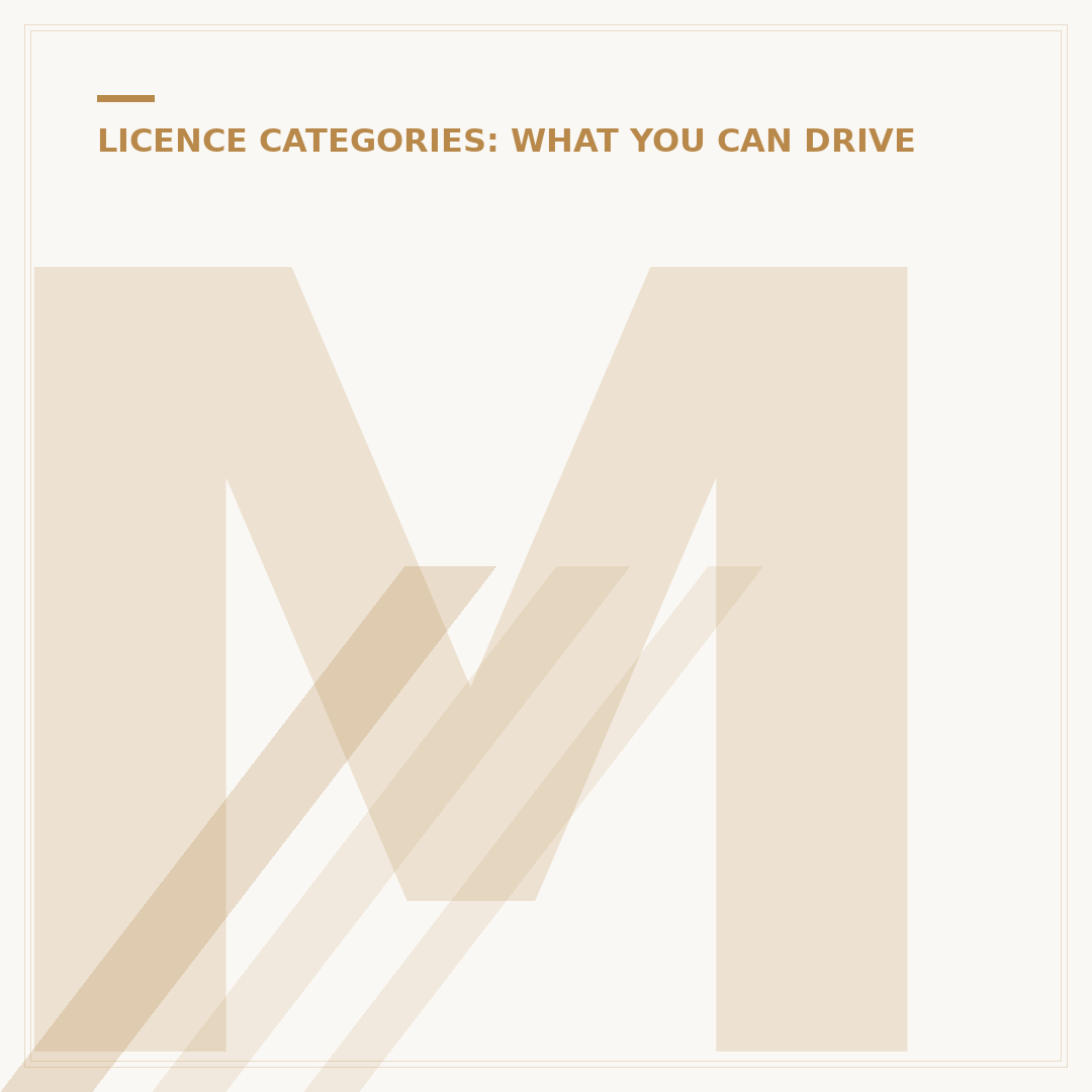 Minibus Licence: What You Need to Drive in the UK