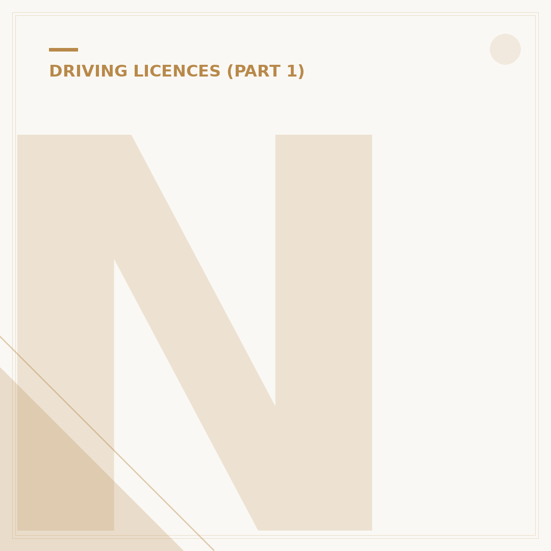 Northern Ireland Driving Licence