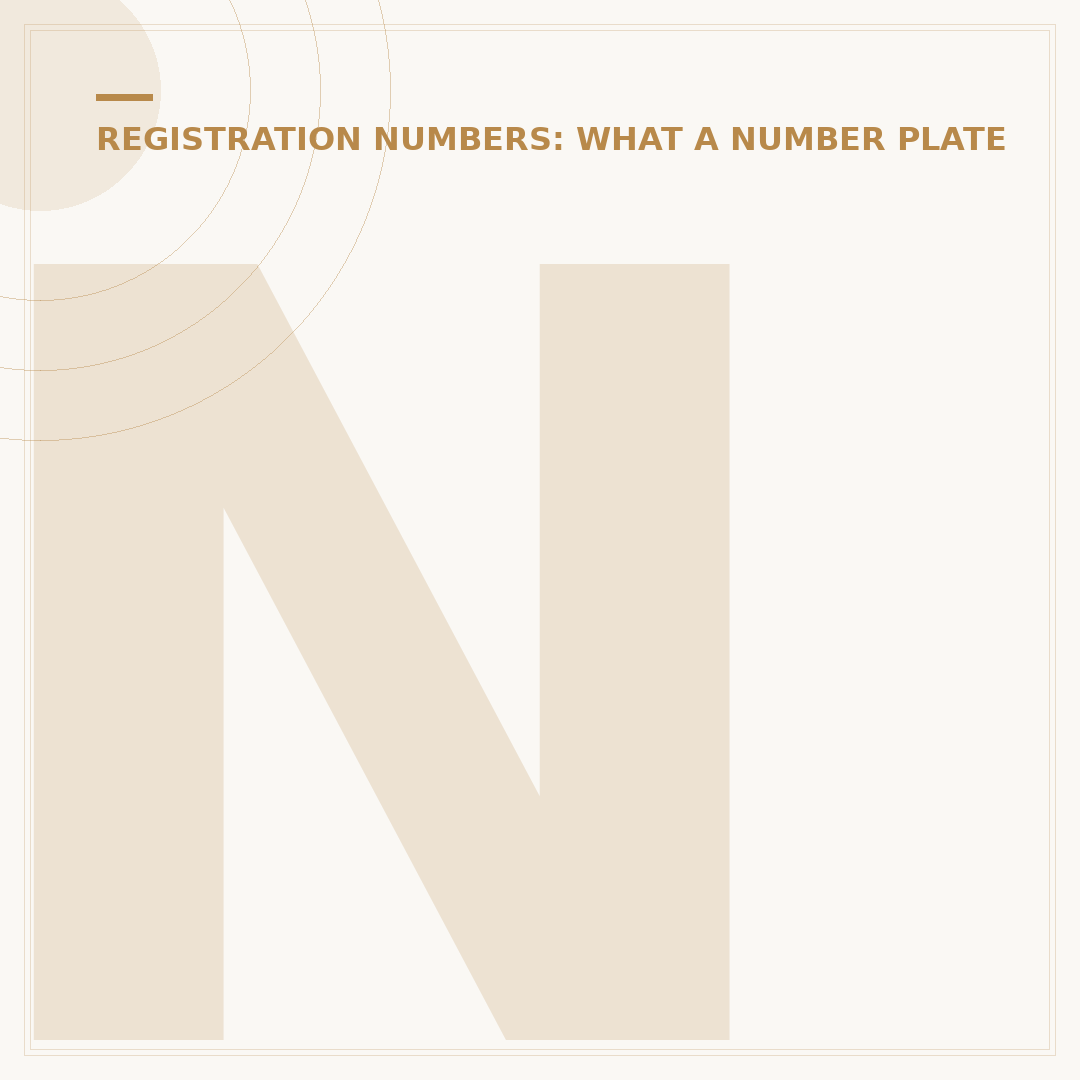 Number Plate Light Replacement: Avoid Costly Mistakes