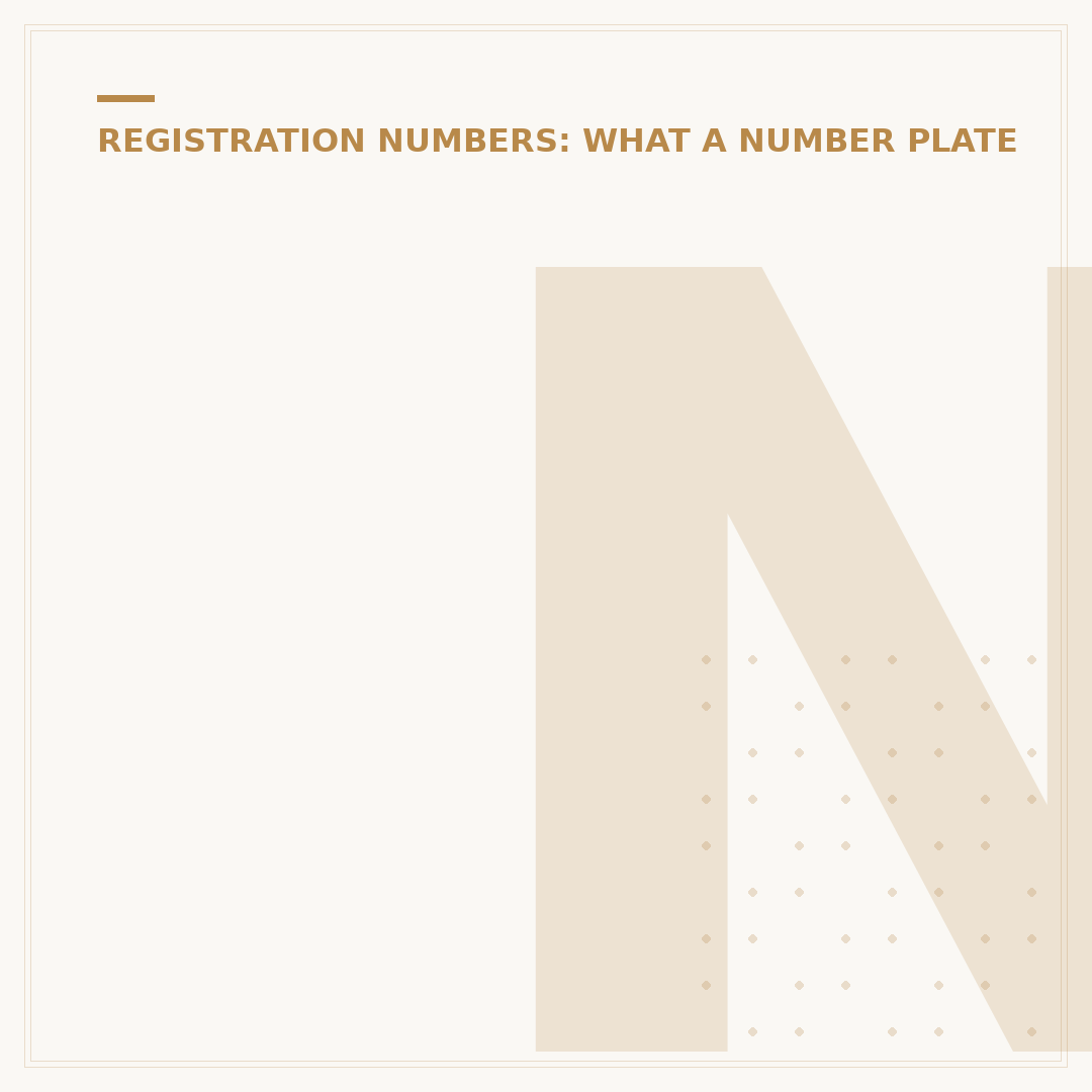 Number Plate Light: What It Is & How To Choose