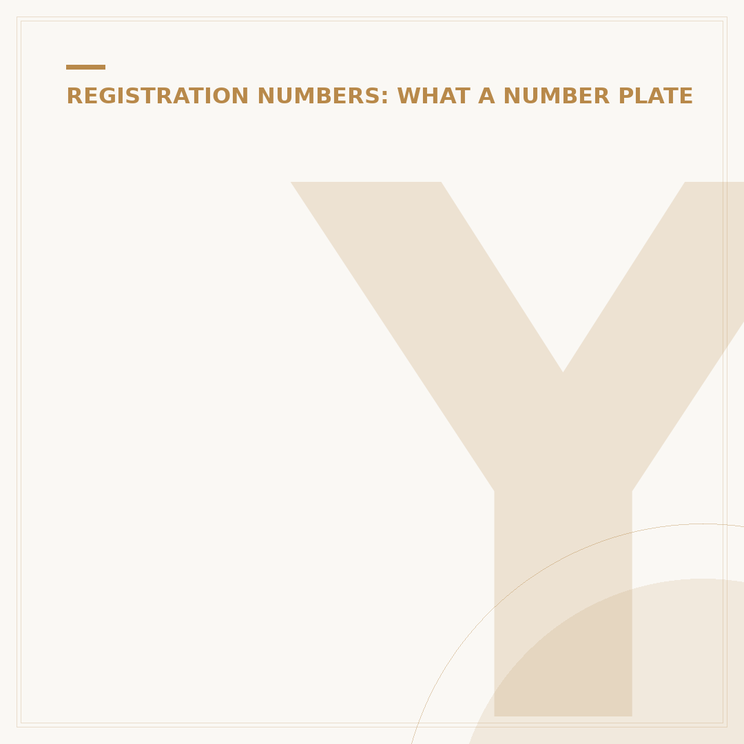 Your Name Number Plate: How to Get Personalised Regs