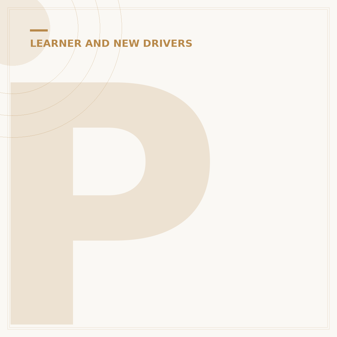 Pass Plus Scheme: What It Is and Why You Need It