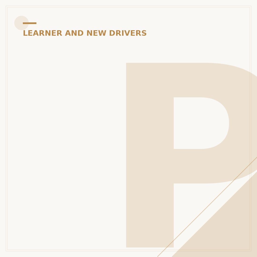 Presents for Learner Drivers